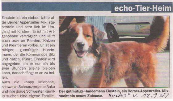 wie der Bayer (lobend) sagt: Ja, a Hund issa scho, da Einstein.