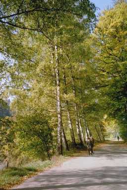 Foto H. Hille, Text aus HERBSTZEITLOSENLICHT, Wien 2011, dem Autor gewidmet